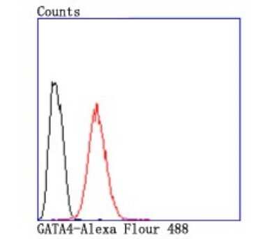 Flow Cytometry: GATA-4 Antibody (JA11-41) [NBP2-66863] - Analysis of Hela cells with GATA4 antibody at 1/50 dilution (red) compared with an unlabelled control (cells without incubation with primary antibody; black). Alexa Fluor 488-conjugated goat anti rabbit IgG was used as the secondary antibody.