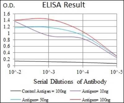 ELISA: GATA-6 Antibody (2F10G3) [NBP2-37377] - Red: Control Antigen (100ng); Purple: Antigen (10ng); Green: Antigen (50ng); Blue: Antigen (100ng);