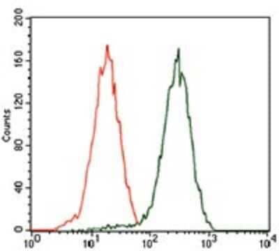 Flow Cytometry: GATA-6 Antibody (2F10G3) [NBP2-37377] - Flow cytometric analysis of HEK293 cells using GATA6 mouse mAb (green) and negative control (red).