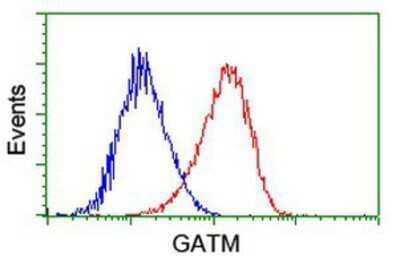 Flow Cytometry GATM Antibody (OTI1E3)