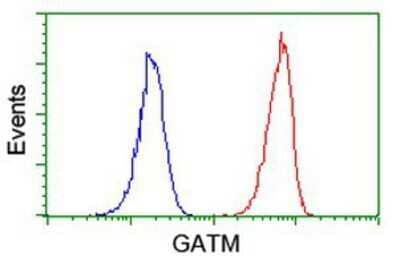 Flow Cytometry GATM Antibody (OTI1E3)