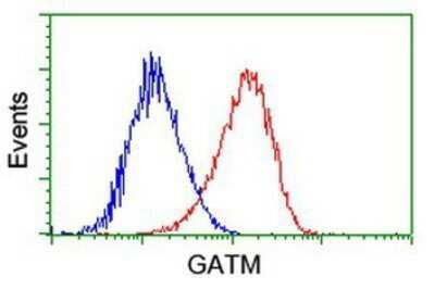 Flow Cytometry: GATM Antibody (OTI1E3) - Azide and BSA Free [NBP2-70802] - Analysis of Hela cells, using anti-GATM antibody, (Red), compared to a nonspecific negative control antibody (Blue).