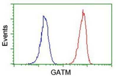 Flow Cytometry: GATM Antibody (OTI1E3) - Azide and BSA Free [NBP2-70802] - Analysis of Jurkat cells, using anti-GATM antibody, (Red), compared to a nonspecific negative control antibody (Blue).