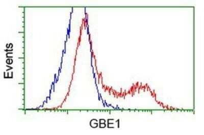 Flow Cytometry GBE1 Antibody (OTI1D11) - Azide and BSA Free