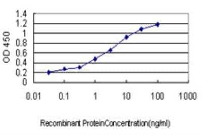 ELISA: GCH1 Antibody (1F5) [H00002643-M03] - Detection limit for recombinant GST tagged GCH1 is approximately 0.1ng/ml as a capture antibody.