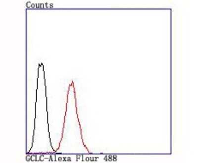 Flow Cytometry: GCLC Antibody (JA08-03) [NBP2-66864] - Analysis of Jurkat cells with GCLC antibody at 1/100 dilution (red) compared with an unlabelled control (cells without incubation with primary antibody; black).