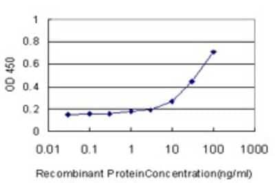 Sandwich ELISA: GCLM Antibody (2B8) [H00002730-M01] - Detection limit for recombinant GST tagged GCLM is approximately 1ng/ml as a capture antibody.