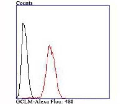 Flow Cytometry: GCLM Antibody (JM93-61) [NBP2-75502] - Analysis of Hela cells with GCLM antibody at 1/100 dilution (red) compared with an unlabelled control (cells without incubation with primary antibody; black).