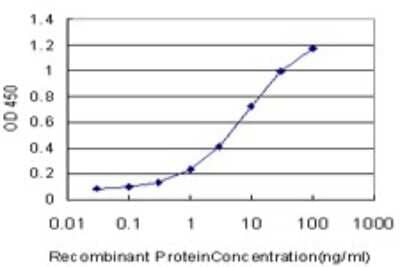 Sandwich ELISA: GCM1 Antibody (4E8) [H00008521-M04] - Detection limit for recombinant GST tagged GCM1 is approximately 0.1ng/ml as a capture antibody.