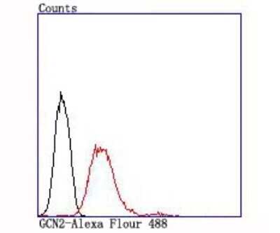 Flow Cytometry: GCN2 Antibody (JA03-83) [NBP2-66865] - Analysis of MCF-7 cells with GCN2 antibody at 1/100 dilution (red) compared with an unlabelled control (cells without incubation with primary antibody; black).