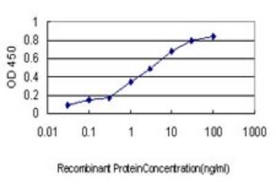 Sandwich ELISA: GCSH Antibody (M2) [H00002653-M02] - Detection limit for recombinant GST tagged GCSH is approximately 0.1ng/ml as a capture antibody.