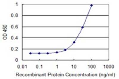 Sandwich ELISA: GDC Antibody (1H7) [H00008034-M01] - Detection limit for recombinant GST tagged SLC25A16 is 1 ng/ml as a capture antibody.