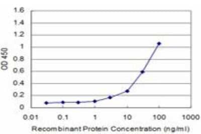 ELISA: GDF-11/BMP-11 Antibody (1E11) [H00010220-M09] - Detection limit for recombinant GST tagged GDF11 is approximately 1ng/ml as a capture antibody.