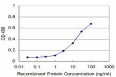 ELISA: GDF-7/BMP-12 Antibody (3E3) [H00151449-M05] - Detection limit for recombinant GST tagged GDF7 is approximately 3ng/ml as a capture antibody.