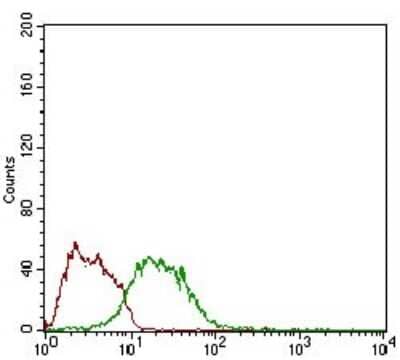 Flow Cytometry: GDF-8/Myostatin Antibody (6E4B2) [NBP2-37260] - Flow cytometric analysis of LNcap cells using MSTN mouse mAb (green) and negative control (red).