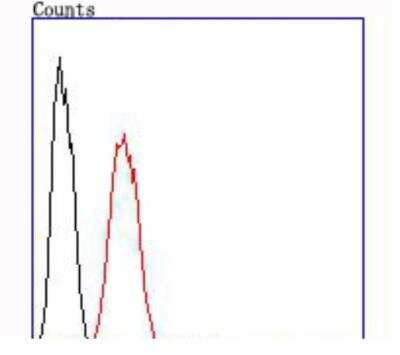 Flow Cytometry: GDNF Antibody (JA93-10) [NBP2-66866] - Analysis of SH-SY5Y cells with GDNF antibody at 1/100 dilution (red) compared with an unlabelled control (cells without incubation with primary antibody; black).