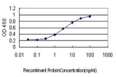 Sandwich ELISA: GEM Antibody (4B12) [H00002669-M01] - Detection limit for recombinant GST tagged GEM is approximately 0.3ng/ml as a capture antibody.