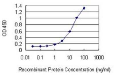 ELISA: GFAP Antibody (8H3) [H00002670-M06] - Detection limit for recombinant GST tagged GFAP is 0.3 ng/ml as a capture antibody.