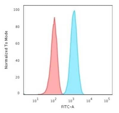Flow Cytometry: GFAP Antibody (ASTRO/1974R) - Azide and BSA Free [NBP3-08431] - Flow Cytometric Analysis of T98G cells using GFAP Rabbit Recombinant Monoclonal Antibody (ASTRO/1974R) followed by Goat anti-Rabbit IgG-CF488 (Blue); Isotype Control (Red).