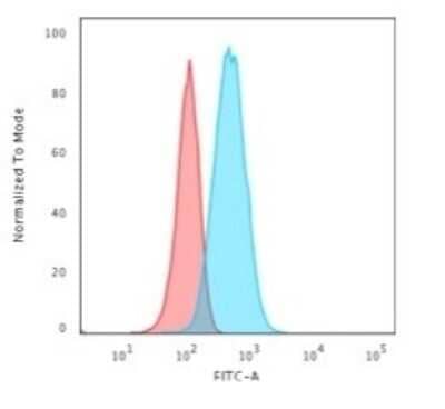 Flow Cytometry: GFAP Antibody (GA-5) - Azide and BSA Free [NBP2-33184] - Flow Cytometric Analysis of T98G cells using GFAP Antibody (GA-5) followed by Goat anti-Mouse IgG-CF488 (Blue); Isotype Control (Red).