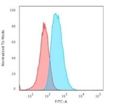 Flow Cytometry: GFAP Antibody (SPM248) [NBP2-34353] - Flow Cytometric Analysis of T98G cells using GFAP Antibody (SPM248) followed by Goat anti-Mouse IgG-CF488 (Blue); Isotype Control (Red).