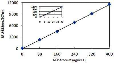 GFP Assay Kit (Fluorometric) [KA0911] - The standard curve is for the purpose of illustration only and should not be used to calculate unknowns. A standard curve should be generated each time the assay is performed.
