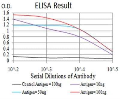 ELISA: GFPT1 Antibody (1F1A4) [NBP2-52472] - Black line: Control Antigen (100 ng);Purple line: Antigen (10ng); Blue line: Antigen (50 ng); Red line:Antigen (100 ng).