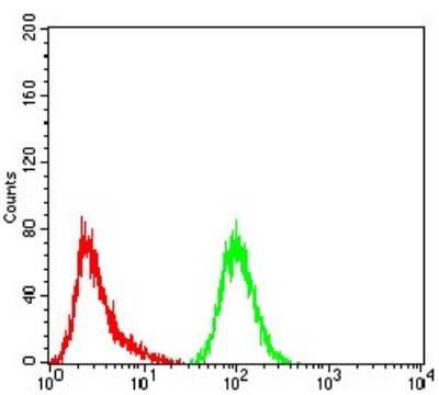 Flow Cytometry: GFPT1 Antibody (1F1A4) [NBP2-52472] - Analysis of Hela cells using GFPT1 mouse mAb (green) and negative control (red).