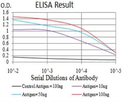 ELISA: GFPT1 Antibody (1F1B9) [NBP2-52474] - Black line: Control Antigen (100 ng);Purple line: Antigen (10ng); Blue line: Antigen (50 ng); Red line:Antigen (100 ng).