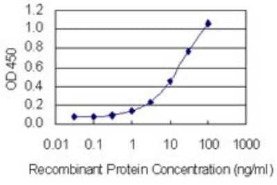 Sandwich ELISA: GIPC2 Antibody (4H8) [H00054810-M02] - Detection limit for recombinant GST tagged GIPC2 is 0.3 ng/ml as a capture antibody.