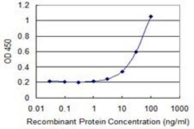 ELISA: GIT2 Antibody (M1) [H00009815-M03] - Detection limit for recombinant GST tagged GIT2 is 1 ng/ml as a capture antibody.