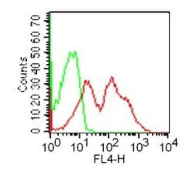 Flow Cytometry: GITR/TNFRSF18 Antibody (DTA-1) [Allophycocyanin] [NBP2-26670] - Flow analysis of GITR in mouse splenocytes using 0.2 ug of this antibody. Green represents isotype control; red represents anti-GITR antibody.