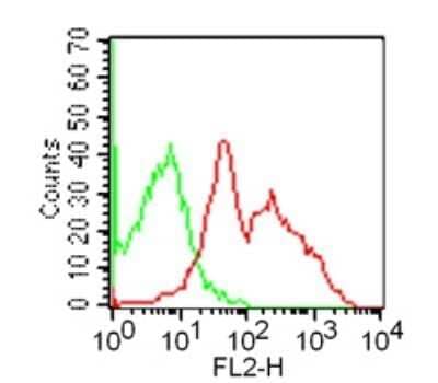 Flow Cytometry: GITR/TNFRSF18 Antibody (DTA-1) - Azide and BSA Free [NBP2-80751] - Analysis using the PE conjugate of NBP2-26661. Staining of GITR in mouse splenocytes using 0.2 ug/10^6 cells of this antibody; red represents anti-GITR antibody.