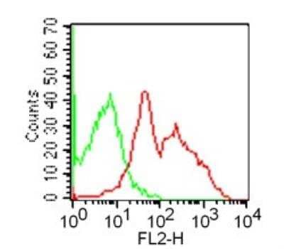 Flow Cytometry: GITR/TNFRSF18 Antibody (DTA-1) [PE] [NBP2-26669] - Flow analysis of GITR in mouse splenocytes using 0.2 ug/10^6 cells of this antibody; red represents anti-GITR antibody.