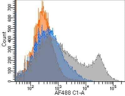 Flow Cytometry: GITR/TNFRSF18 Antibody (YGITR765) [NBP2-81090] - Flow-cytometry using  [NBP2-81090]. Mouse activated T cells were stained with an isotype control (NBP2-52638, Orange) or the rabbit-chimeric version of YGITR765 [NBP2-81090] at a concentration of 1 ug/ml for 30 mins at RT without (Blue) and with (Grey) stimulation of the lymphocytes with immobilized anti-CD3 and anti-CD28 antibodies. After washing, bound antibody was detected using a AF488 conjugated donkey anti-rabbit antibody and cells analysed on a FACSCanto flow-cytometer.
