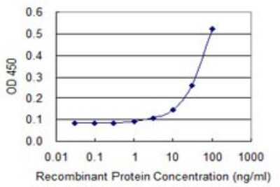 Sandwich ELISA: GK2 Antibody (3G4) [H00002712-M04] - Detection limit for recombinant GST tagged GK2 is 3 ng/ml as a capture antibody.