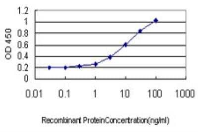 ELISA GK3P Antibody (2H4) - Azide and BSA Free