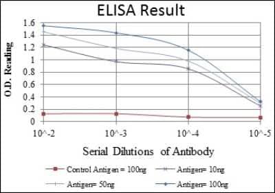 ELISA: GKAP/DLGAP1 Antibody (3G4) [NBP2-37582] - Red: Control Antigen (100ng); Purple: Antigen (10ng); Green: Antigen (50ng); Blue: Antigen (100ng);