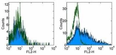 Flow Cytometry: GL7 (T and B Cell Activation Marker) Antibody (GL-7) [Biotin] [NBP2-00361] - Staining of 3-day unstimulated (left) and 3-day ConA activated (right) BALB/c splenocytes with 0.5 ug of Rat IgM Isotype Control Biotin (open histogram) or 0.25ug of Anti-Human/Mouse GL7 (T and B Cell Activation Marker) Biotin (filled histogram) followed by Streptavidin PE. Total viable cells were used for analysis.