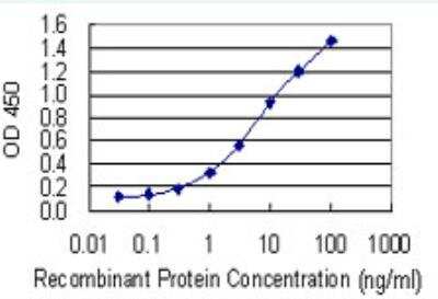 ELISA: GLI-1 Antibody (1G11) [H00002735-M02-100ug] - Detection limit for recombinant GST tagged GLI1 is 0.03 ng/ml as a capture antibody.