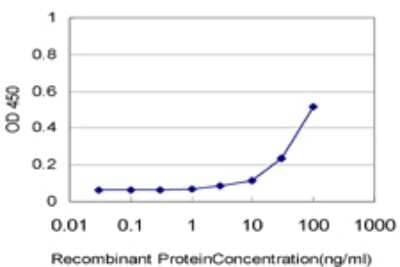 Sandwich ELISA: GLP-2R Antibody (1F2) [H00009340-M05] - Detection limit for recombinant GST tagged GLP2R is approximately 10ng/ml as a capture antibody.