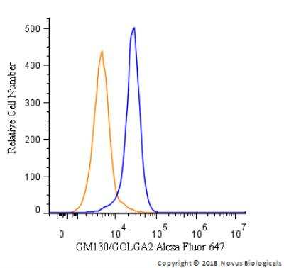 Flow Cytometry: GM130/GOLGA2 Antibody [Alexa Fluor® 647] [NBP2-53420AF647] - An intracellular stain was performed on HeLa cells with GM130/GOLGA2 Antibody NBP2-53420AF647 (blue) and a matched isotype control (orange). Cells were fixed with 4% PFA and then permeabilized with 0.1% saponin. Cells were incubated in an antibody dilution of 2.5 ug/mL for 30 minutes at room temperature. Both antibodies were conjugated to Alexa Fluor 647.