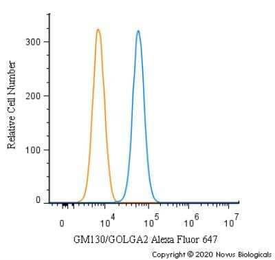 Flow Cytometry: GM130/GOLGA2 Antibody [Alexa Fluor® 647] [NBP2-53420AF647] - An intracellular stain was performed on MCF7 cells with GM130/GOLGA2 Antibody NBP2-53420AF647 (blue) and a matched isotype control (orange). Cells were fixed with 4% PFA and then permeabilized with 0.1% saponin. Cells were incubated in an antibody dilution of 2.5 ug/mL for 30 minutes at room temperature. Both antibodies were conjugated to Alexa Fluor 647.