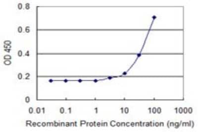 Sandwich ELISA: GNGT1 Antibody (1F8) [H00002792-M01] - Detection limit for recombinant GST tagged GNGT1 is 1 ng/ml as a capture antibody.