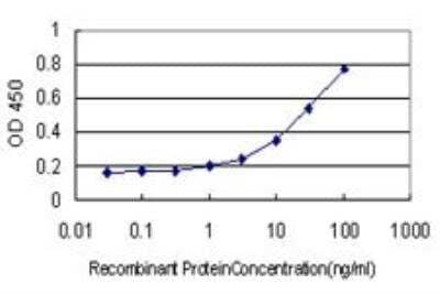 ELISA GOLGA7 Antibody (2H8)