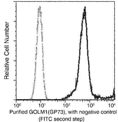 Flow Cytometry: GOLM1 Antibody (015) [NBP2-90164] - Analysis of Human GOLM1(GP73) expression on HeLa cells. The cells were treated,  stained with purified anti-Human GOLM1(GP73), then a FITC-conjugated second step antibody. The fluorescence histograms were derived from gated events with the forward and side light-scatter characteristics of intact cells.