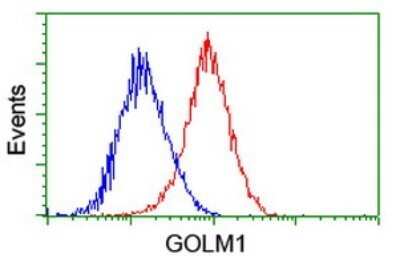 Flow Cytometry: GOLM1 Antibody (OTI4B12) - Azide and BSA Free [NBP2-71916] - Analysis of Hela cells, using anti-GOLM1 antibody , (Red), compared to a nonspecific negative control antibody, (Blue).