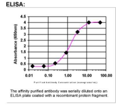 ELISA: GPR125 Antibody [29020002]
