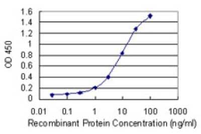 Sandwich ELISA: GPR180 Antibody (1D8) [H00160897-M01] - Detection limit for recombinant GST tagged GPR180 is 0.1 ng/ml as a capture antibody.