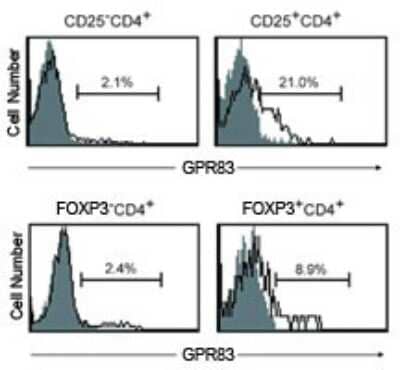 Flow Cytometry: GPR83 Antibody [NLS4954] - Analysis of anti-GPR83 antibody with purified spleen and lymph nodes stained with GPR83 antibody followed by Alexa488-anti-rabbit IgG. Cells were then stained with APC-anti-CD4 together with PE-anti-CD25 or with PE-anti-FOXP3. Gray is second antibody only and line.
